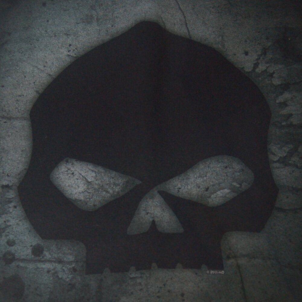 Vintage Men's Black Long Sleeve Harley Davidson skull t-Shirt - Large